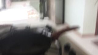 Fressia MakingBreakfast