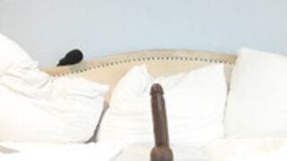 EatMyGingerSnapps 24.10.22 003