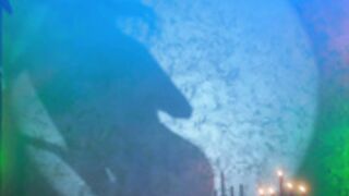 Eva_fashionista 01.11.2024 Halloween show - 2