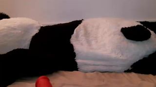 Rebelmilkshakekitten cam recording 2015 October 19-01.21