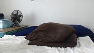 Chantarra cam recording 2015 October 21-19.54