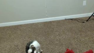 May_marmalade cam recording 2015 October 21-05.45