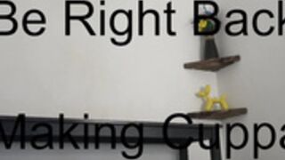 english_rose__ 2024-10-29 13-36-001