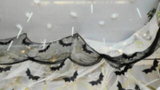 candy_beck 2024-11-03 15-09-003