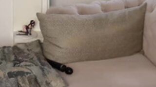 CB - tatiana__cortes18 15