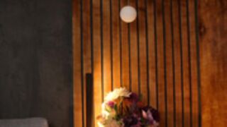 brandywhite 2024-11-14 08#47