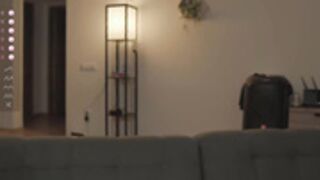 monchhichis 2024-11-14