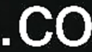 ocicat 2024-11-05 07#04