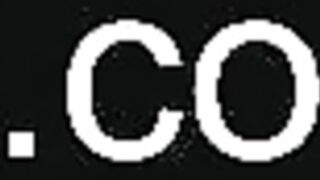 ocicat 2024-11-05 07#04