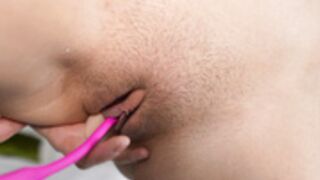 Dovia - 2024_09_02 (02)