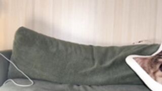 galantini 20241118（3）