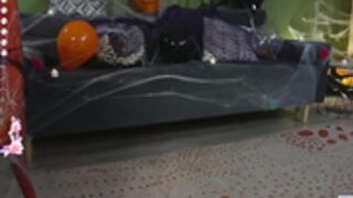 audreycarvin-2024-10-31-halloween-4