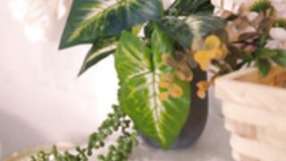 Madison-Ivy-madison420ivy-bath-footjob