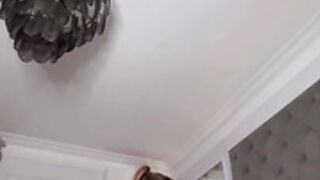 Paige British OF 41
