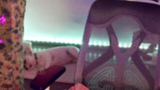 nylaahh-1 Flogger X 15 Ass And Sexy Dance