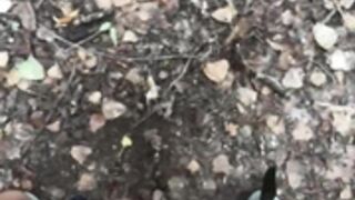Outdoor masturbation 7