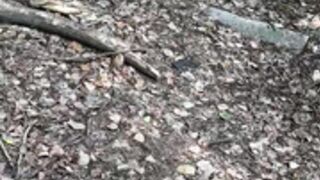 Outdoor masturbation 7