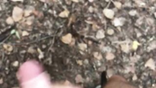 Outdoor masturbation 7