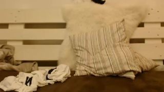 Lillya's Webcam Recording @ Chaturbate 14062017