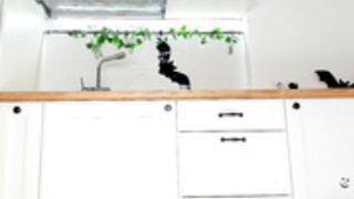 lissa_wayne 2024-11-23 23_25-feet-and-dildo-show