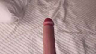 bellacle-2024-11-04-great-vanilla-blowjob