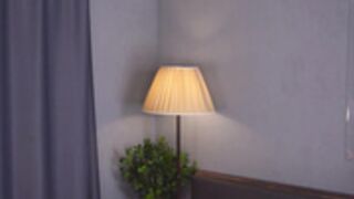 bellacle-2024-11-04-sexy-dance-and-blowjob