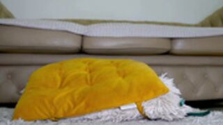 sophydiva 179