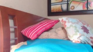 LatinaBigTits - Latina Cam