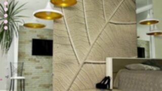 brightrays__ 2024_11_03 - 2