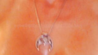 sweetboobss1 2024-05-25