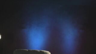 rocknrose 2024-05-16