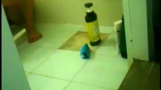 Descuido Dejando la puerta havierta