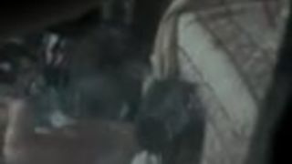 espiandola por la ventana