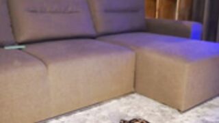 CB - brandiloveee 49