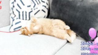 sweet_ary 2025-01-01 01#10