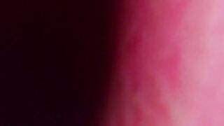 star_gazing 2025-01-01 20#05-003