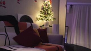 _blackbee_ 2025-01-03 23#10-003