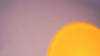 Tessarosse_ 13 (ALINA)