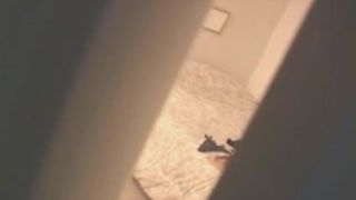 Espiando Por La Ventana