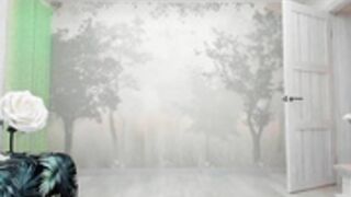 sunshine13__2024-12-01_16-43-38_229