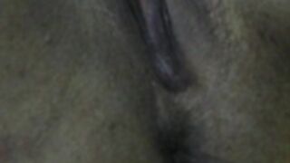 Jenny 176