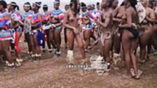 A THOUSAND NAKED SOUTH AFRICAN GODDESSES