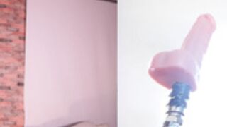 004266, 0203