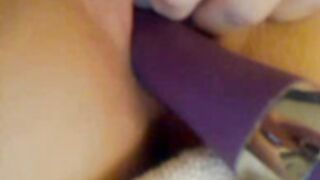 eloel 14
