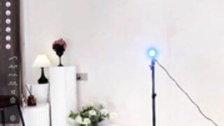 alice kurakurai cookie 2