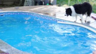 loollypop24 2025-01-25 21#05-004