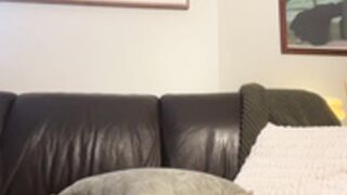lexasworld1 2025-01-26 09#38