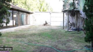 loollypop24 2025-01-29 21#23-004