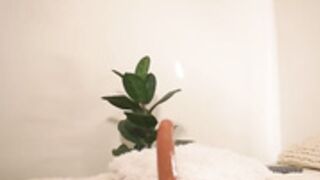 CB - germaine_jones 648