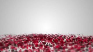 Eden Levine & Nicolette Shea